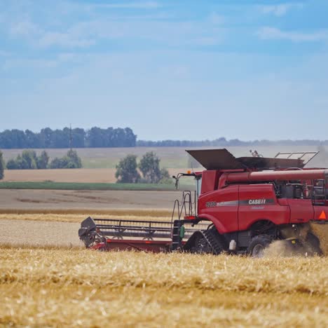 combine harvesting golden wheat
