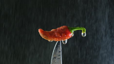 Red-spicy-Jalapeno-chilli-pepper-dripping-wet-on-sharp-knife-with-falling-water-spray-against-black-background