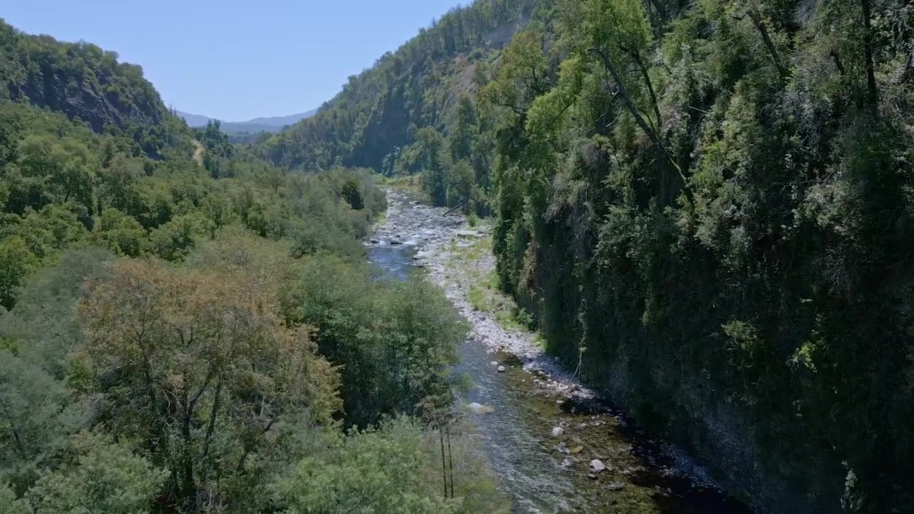Volo planato lungo un fiume di montagna stretto con rapide di acqua bianca, racchiuso da imponenti pareti di canyon e una fitta volta di foresta nativa sotto un cielo azzurro brillante.