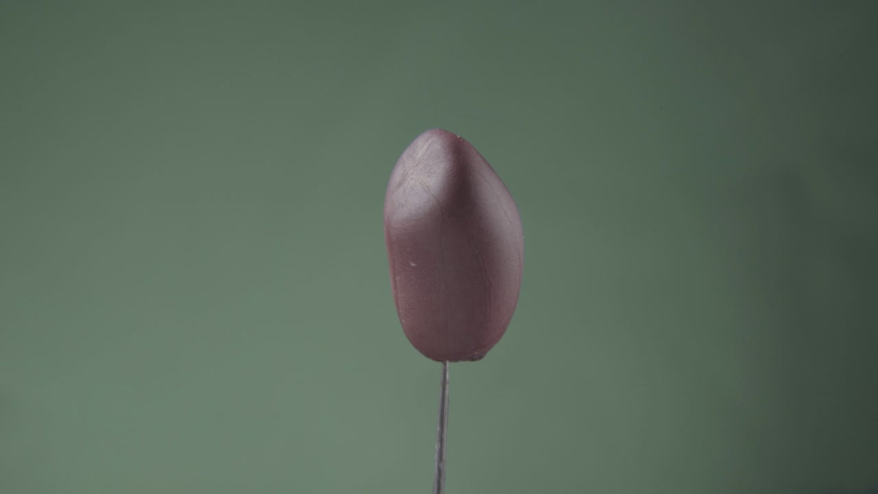 maní girando con bucle en la pantalla verde para la llave de croma