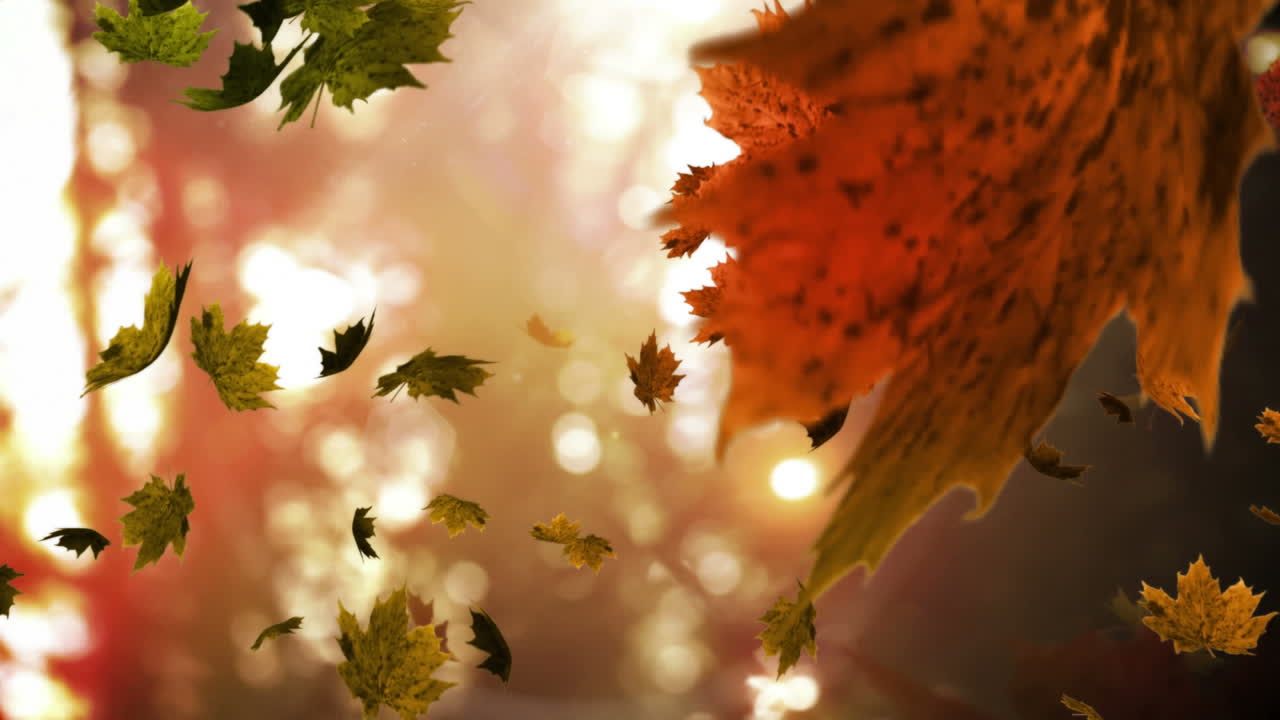 animación de hojas de otoño que caen contra la vista borrosa del parque forestal con espacio de copia