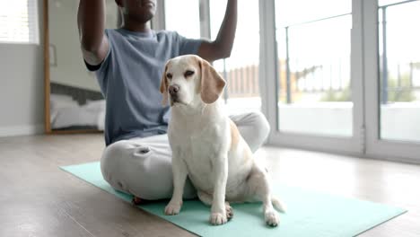 hombre afroamericano haciendo yoga y meditando, con su perro mascota en casa, cámara lenta