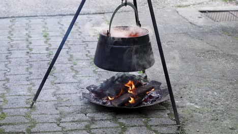 cooking stew outdoor on tripod, croatia, cobanac, tradition meal, slavonija