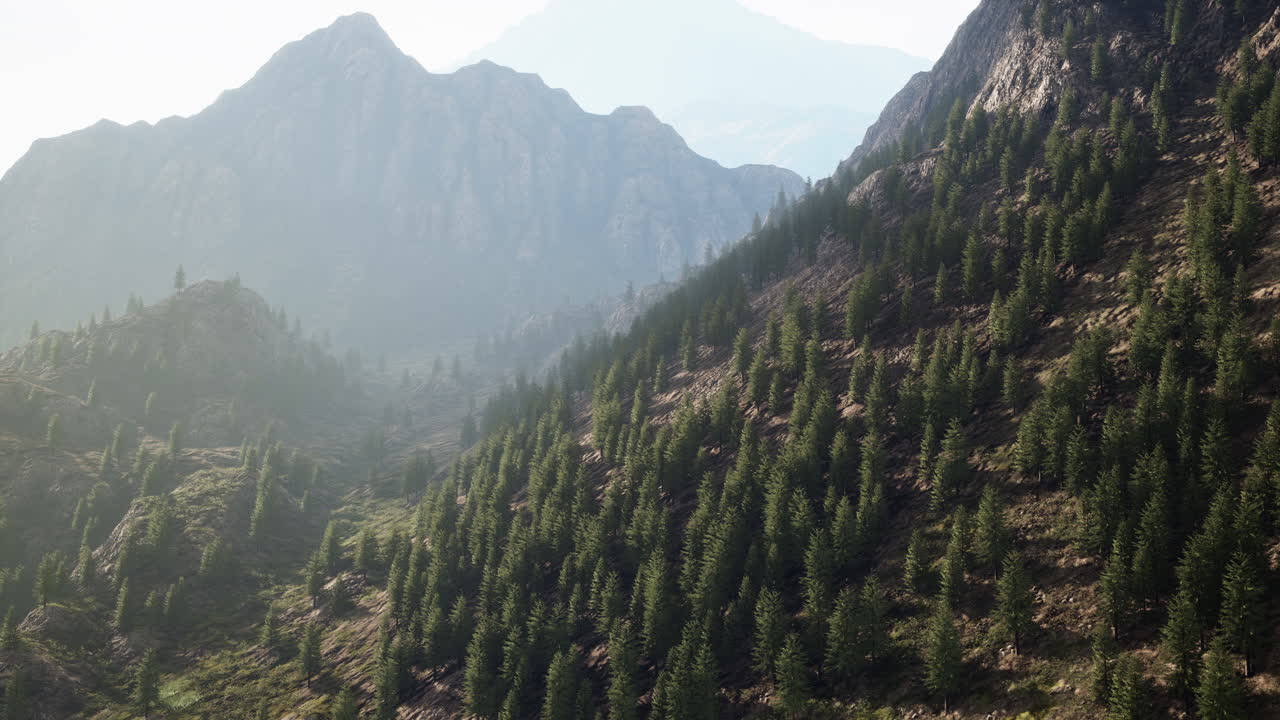 alpes suizos con prados verdes alpinos en una ladera y rodeados de bosques
