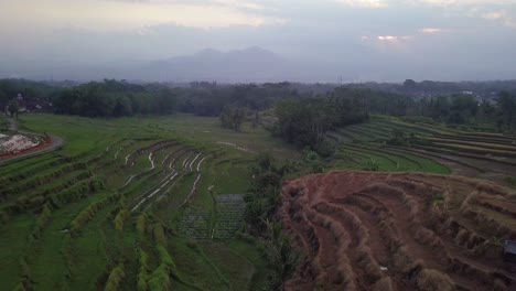 vista de pájaro sobre los vastos campos de arroz en terrazas en la isla de java, indonesia