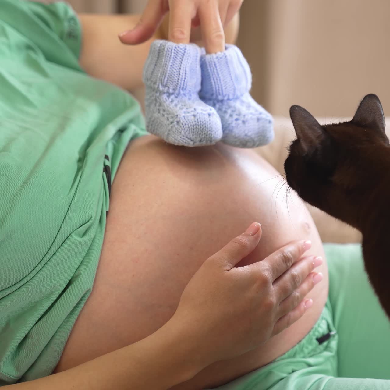 Giovane donna incinta e gatto nero in casa. Donna in attesa di un bambino che tiene in mano delle calze di lana. Donna incinta si riposa sul divano e gioca con un animale domestico. Gravidanza e animali domestici