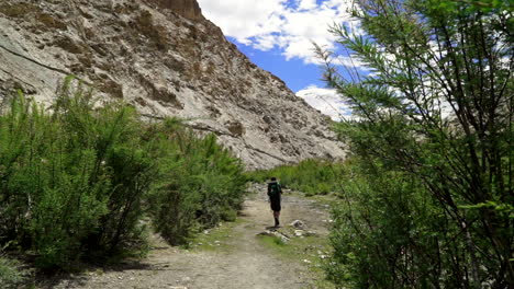 toma de mano pov como un hombre caminando en un camino entre arbustos verdes altos en las montañas en un día soleado