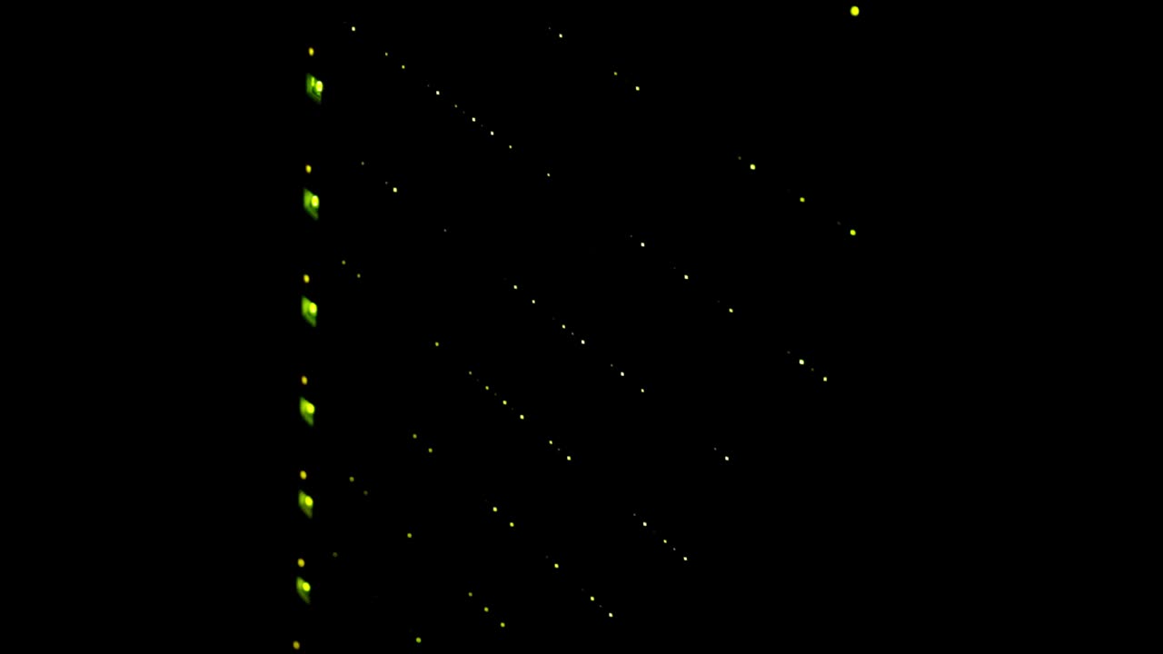 Blinking dots of data backup hard drives from an IT cloud computing system in a data center