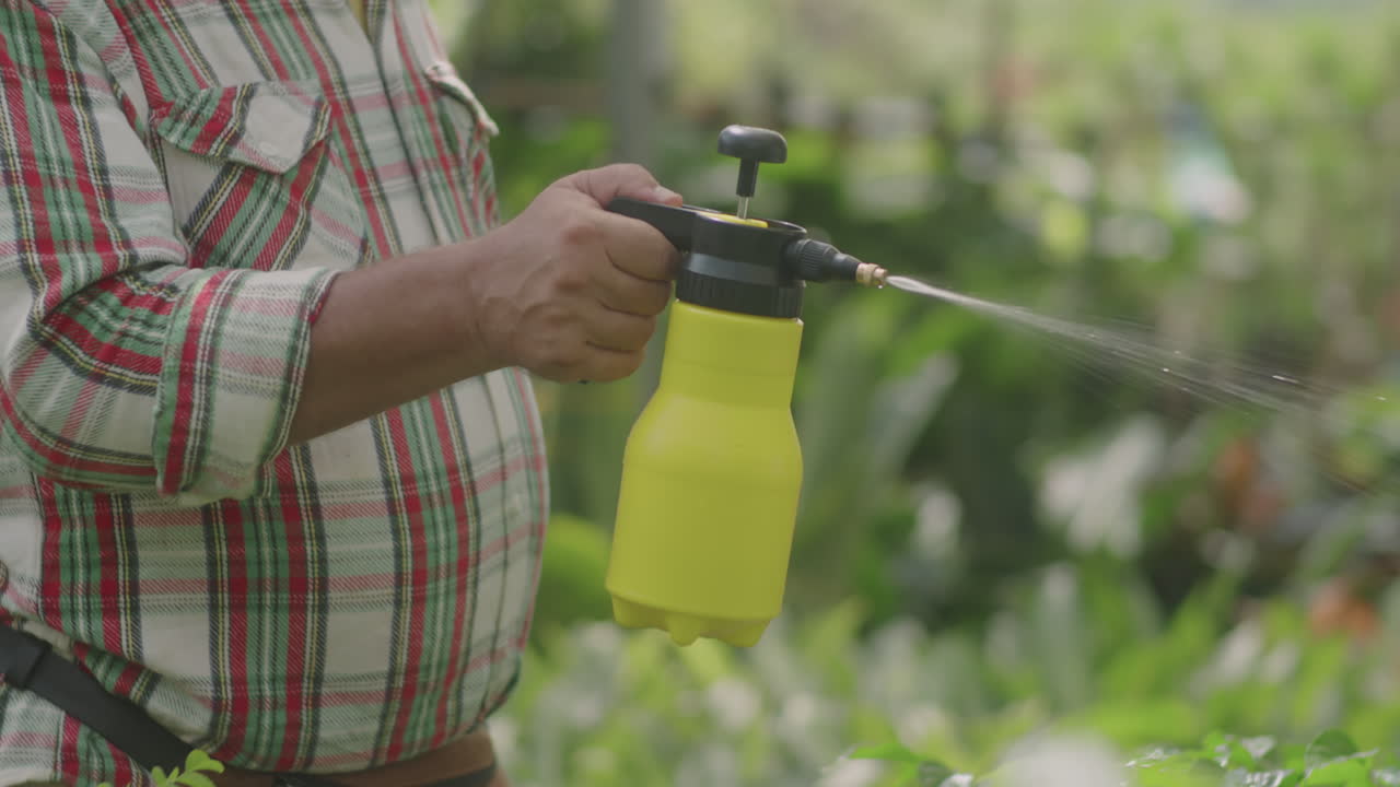 Elderly Nurseryman Watering Plants with Spray Bottle