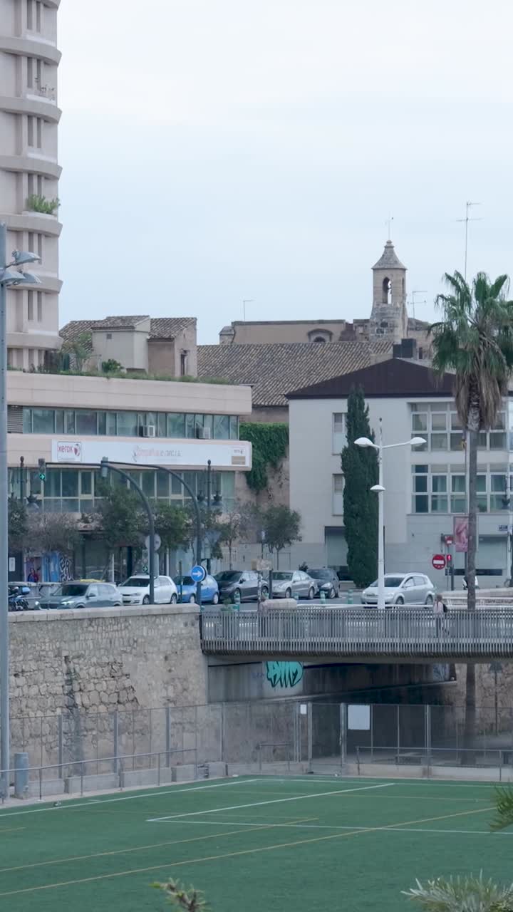 Cityscape View with Bridge and Soccer Field