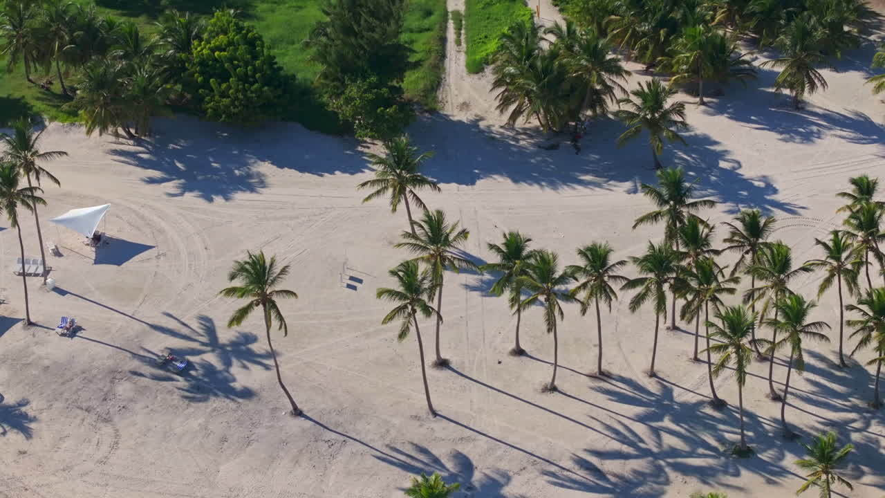 Filmato panoramico da Punta Cana e la Repubblica Dominicana, che mostra acque caraibiche turchesi, giungla lussureggiante, spiagge di sabbia bianca e una natura tropicale vibrante.