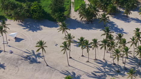 scenic footage from punta cana and the dominican republic, showcasing turquoise caribbean waters, lush jungle, white-sand beaches, and vibrant tropical nature