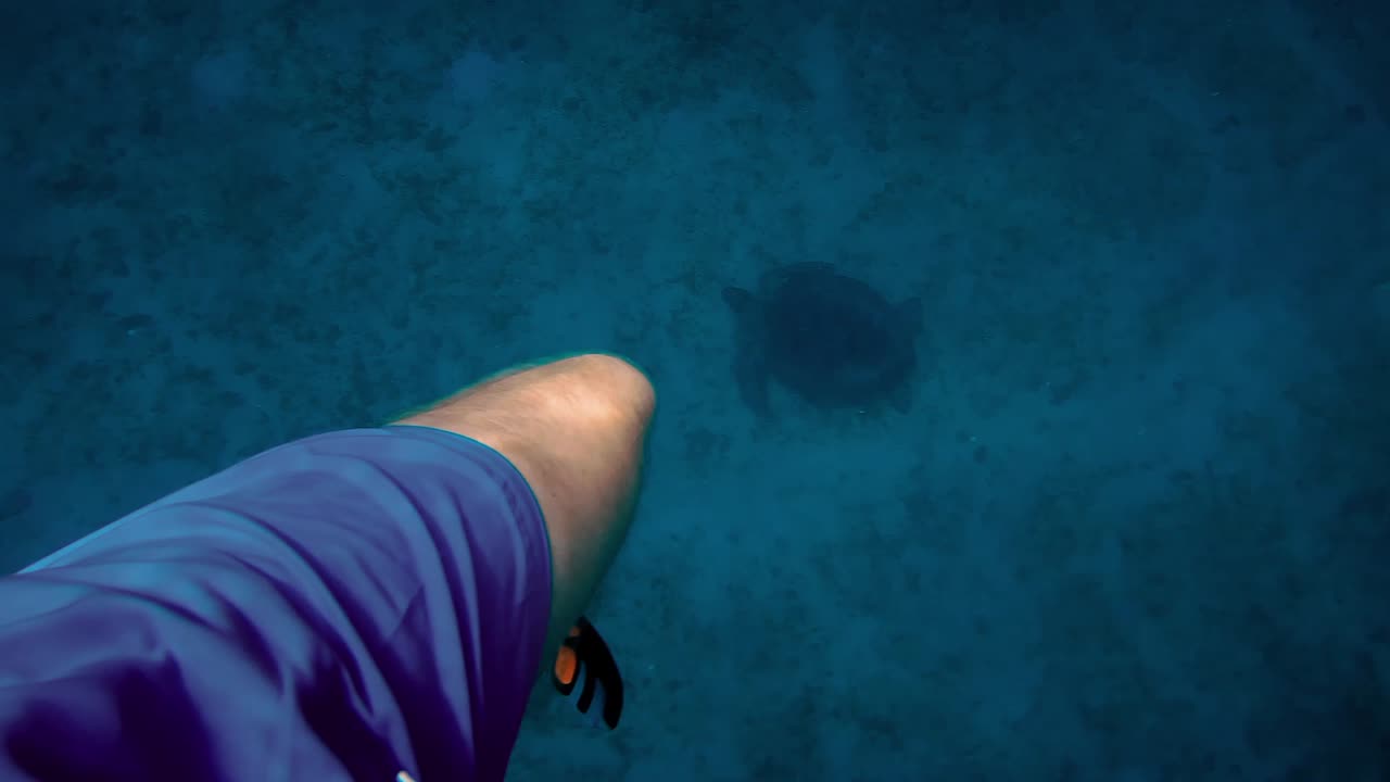 인도네시아 롬복 해안의 길리 섬에서 스노클링 모험