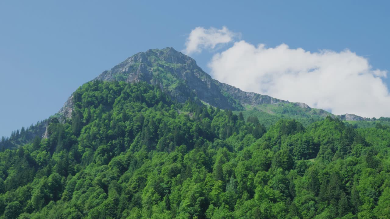 pico de montaña rodeado de denso bosque en un día soleado en el cantón de glarus en suiza