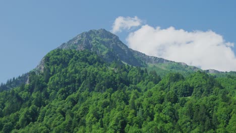 mountain peak surrounded by dense forest on a sunny day in the canton of glarus in switzerland