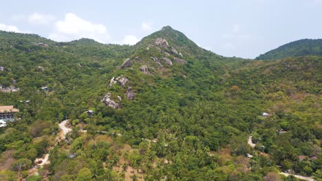 la isla de koh tao en tailandia con una densa selva