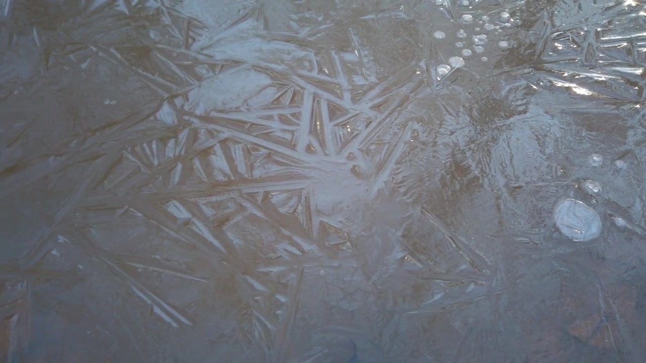 Acqua ghiacciata dopo la pioggia nella foresta invernale
