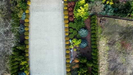 top down view of the garden in big house