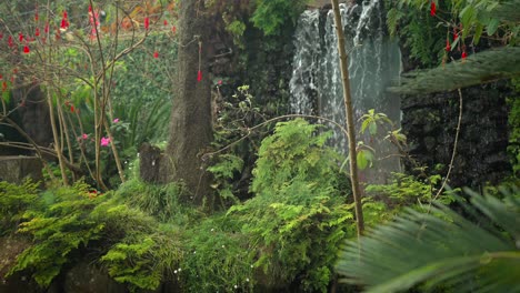 footage filmed in madeira portugal at monte palace tropical garden