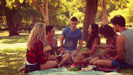 Glückliche-Freunde-Im-Park-Beim-Picknick-Und-Gitarrespielen