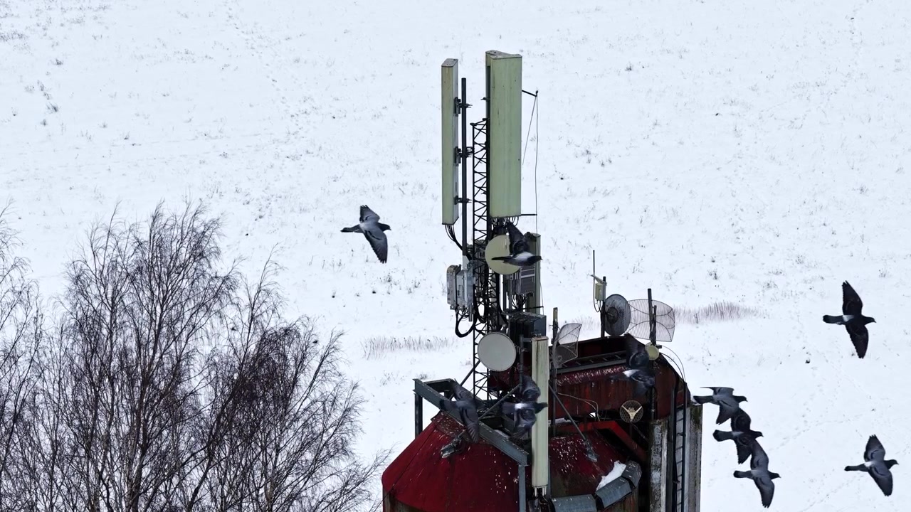Torre di telecomunicazioni che fornisce connettività di rete cellulare in un contesto invernale, primo piano aereo