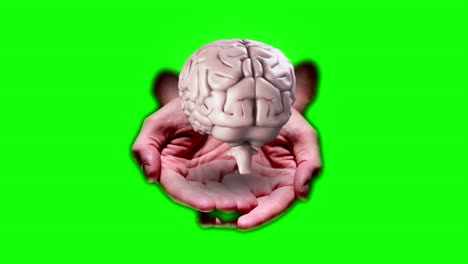 hand presenting a spinning brain