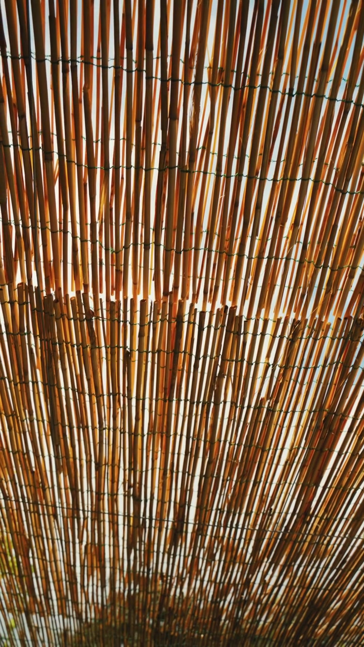 Tetto di una pergola da giardino realizzato con canne naturali in Sicilia.