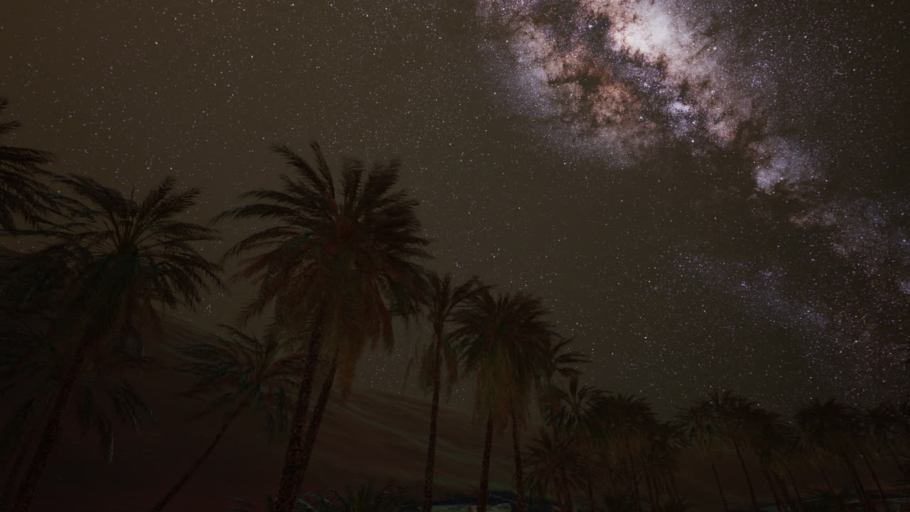 Cielo notturno stellato con palme da cocco