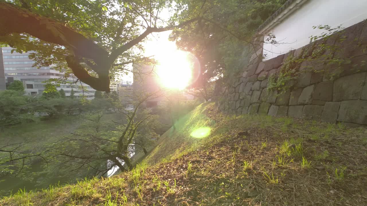 도쿄 치도리가푸치 (tokyo chidorigafuchi) 2022년