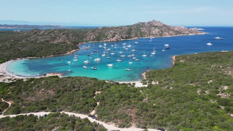 la maddalena island, caprera, sardinia - yachts and boats in turquoise blue bay - aerial 4k