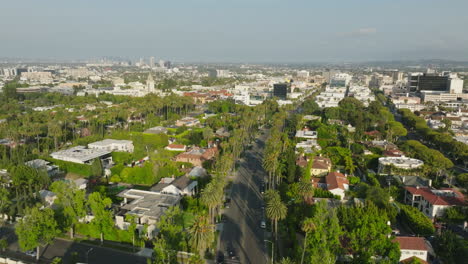 flying over lush tree-lined beverly hills neighborhood in the daytime, drone shot with sky ahead and trees below