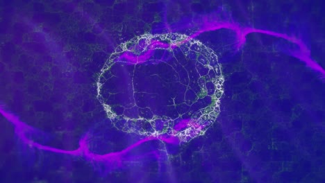 animation of digital brain over purple shapes on blue background