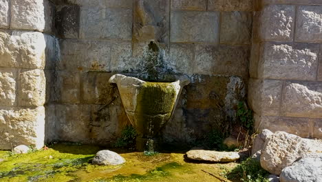 Antigua-Fuente-De-Piedra-Tallada-A-Mano-Con-Agua-Y-Musgo-Verde