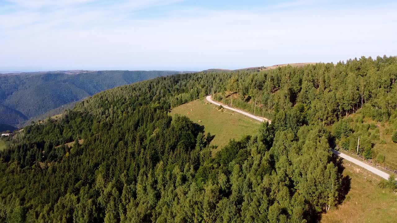 vista aérea sobre el vasto bosque cerca del pueblo de marisel en las montañas apuseni en rumania