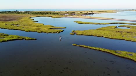 Man-Paddle-Boarding-In-Einem-Ruhigen-Teich-In-Rhode-Island