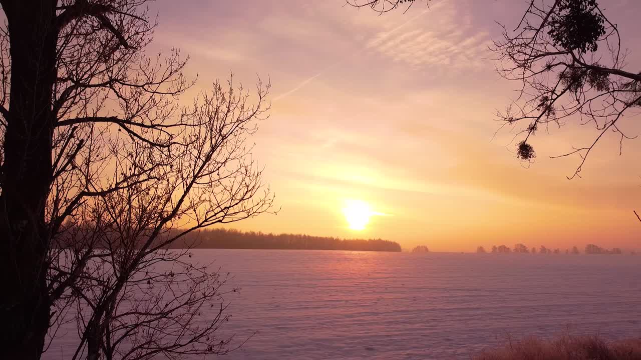잎이 없는 큰 나무들 사이로 떠오르는 태양이 물드는 눈 덮인 들판에서 뒤로 이동