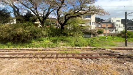looking sideways out of train window riding through rural scenery