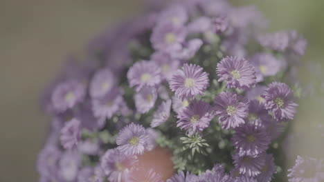 primer plano de las flores púrpuras