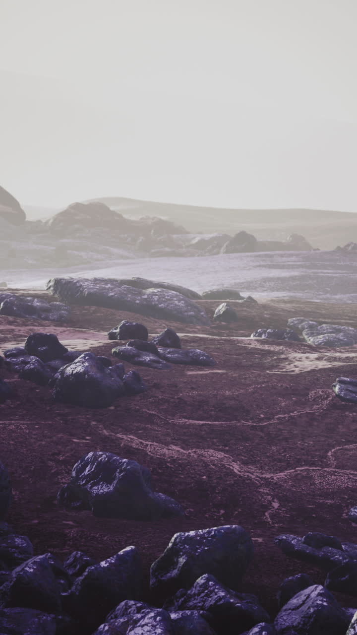 rocas púrpuras en una playa de niebla
