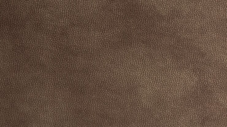 Close Up Macro Shot of Brown Leather Grain Texture Background 4K