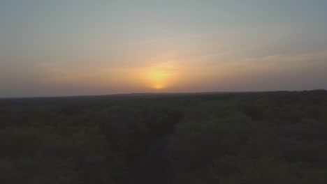 Aerial-Drone-shot-of-Road-through-a-forest-at-time-of-sunrise-in-Kuno-National-Park