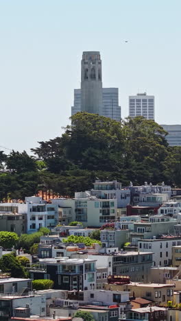 san francisco usa, vertical drone shot of coit tower landmark on telegraph hill with downtown in background