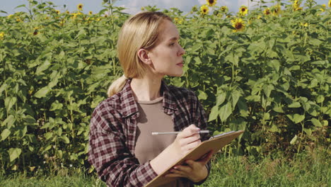 female agronomist observing sunflower field