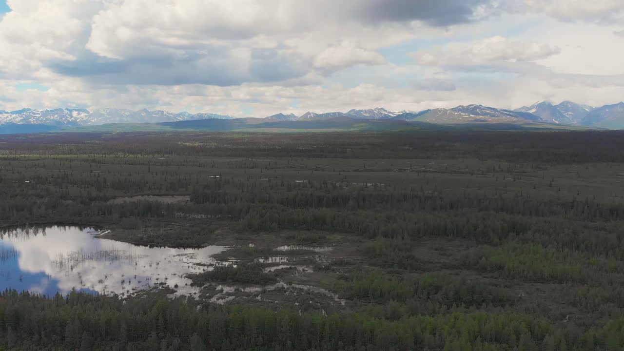 video de drones de 4k de picos de montaña y arroyo de granito cerca del parque nacional denali en alaska en un día soleado de verano