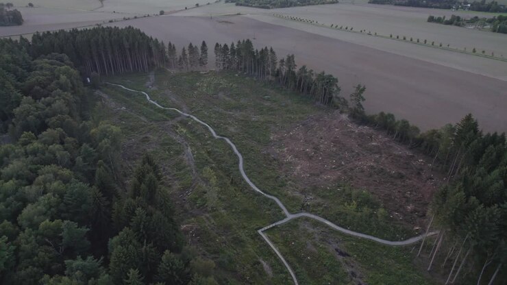 Aerial top view of road passing through forest and village