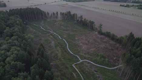 aerial top view of road passing through forest and village