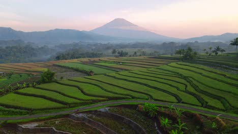 Vista-Aérea-Del-Campo-De-Arroz-Verde-Y-La-Montaña-En-El-Fondo-Con-El-Cielo-Naranja-Del-Amanecer---Paisaje-Rural-De-Indonesia