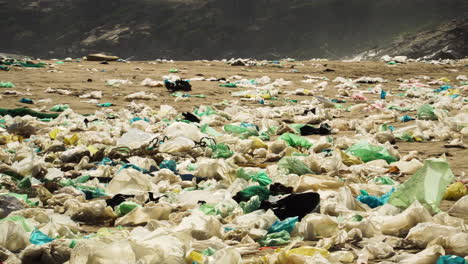 primer plano de una playa muy contaminada en una gran ola de basura