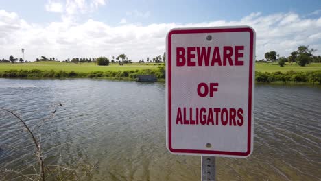 bewegen sie sich näher in richtung alligatorschild am malerischen teich