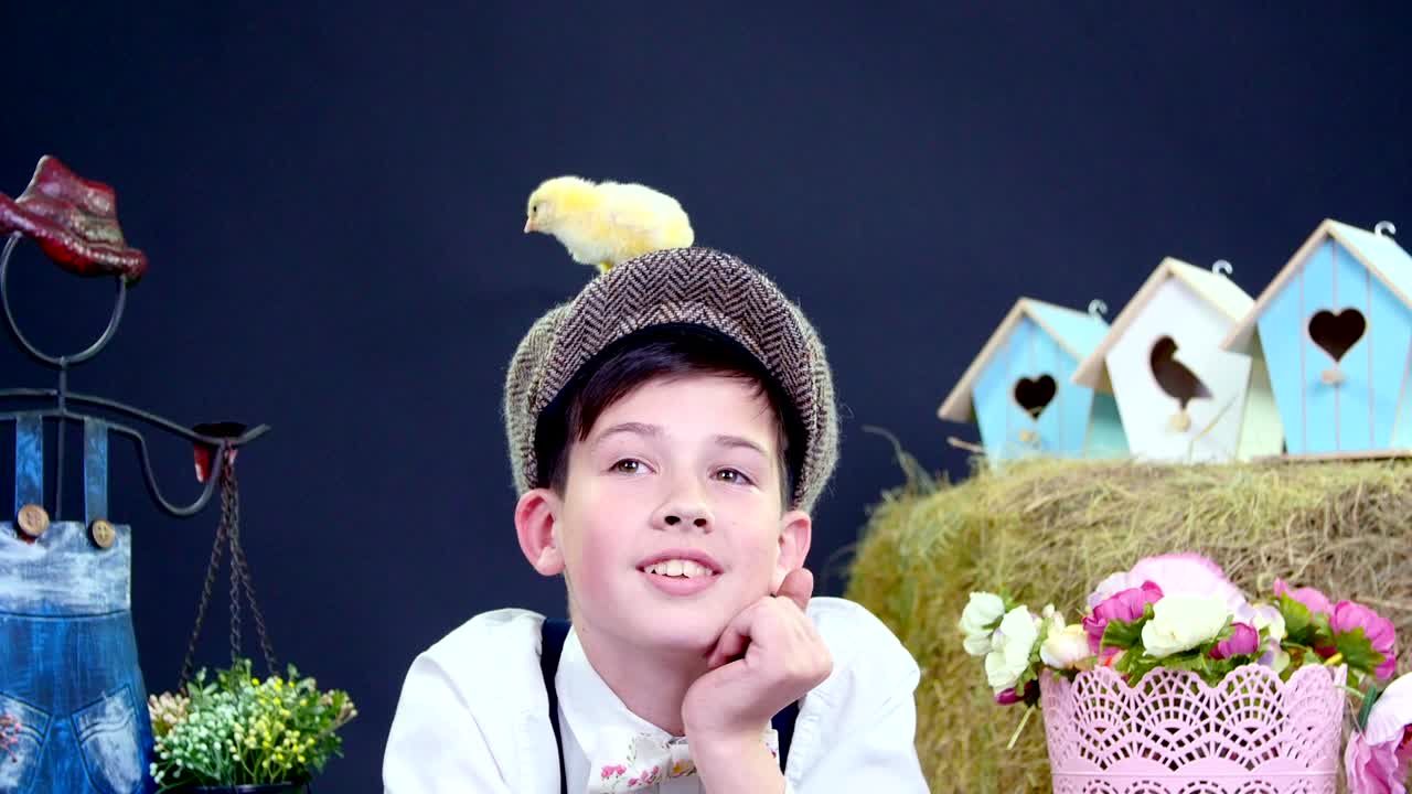 멋진 옷을 입은 소년은 오리 새끼와 과 함께 놀고, 배경에는 잔디이, 다채로운 새 집과 꽃이 있습니다. 테마 장식으로 스튜디오 비디오 촬영